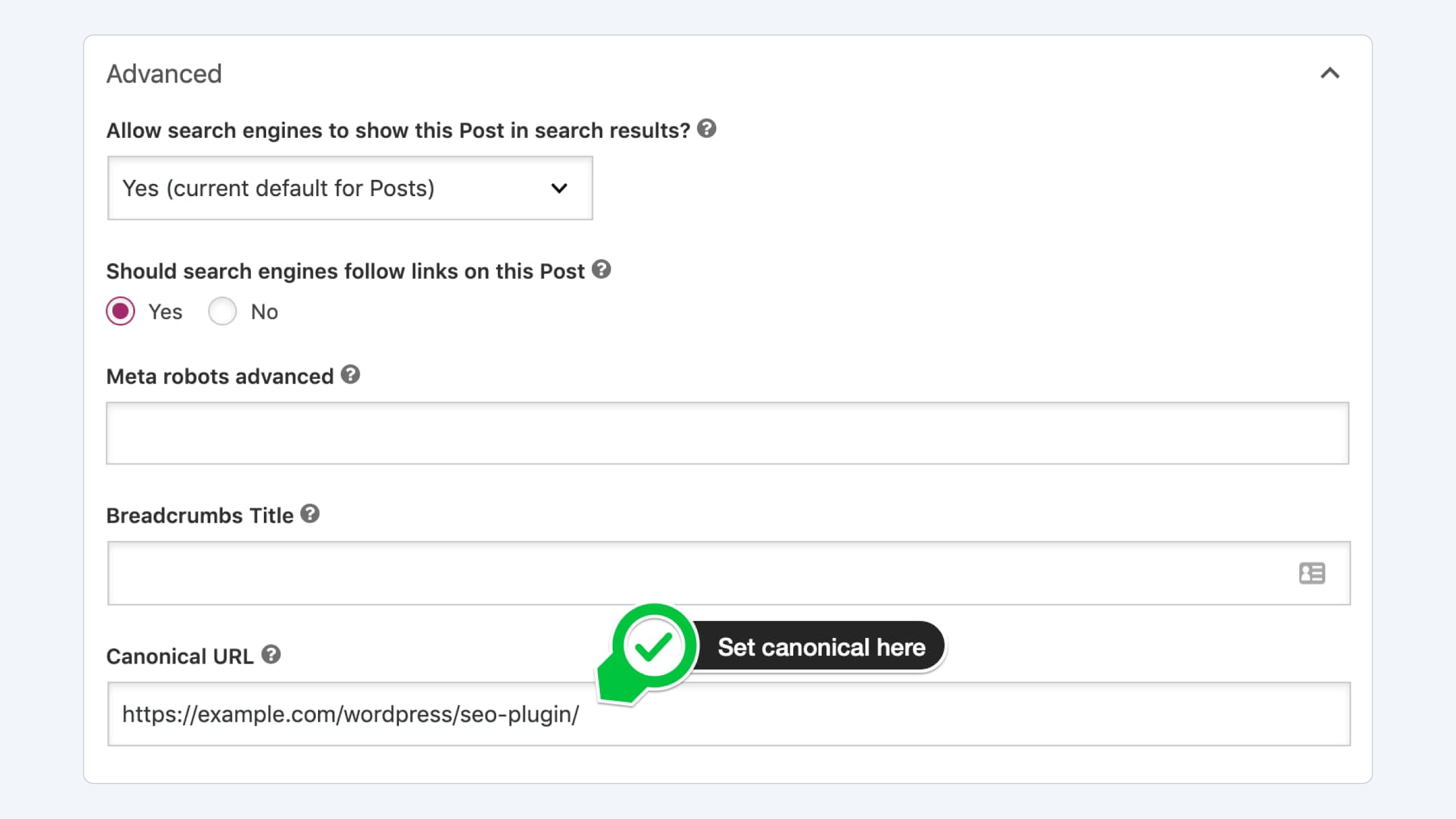 Duplicate content controls